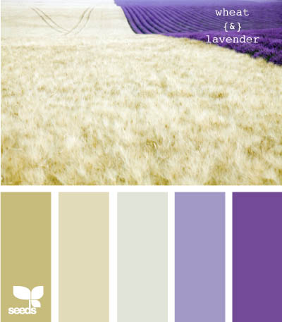 wheat & lavender